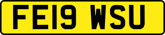 FE19WSU
