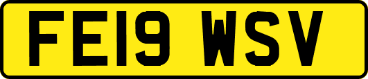 FE19WSV