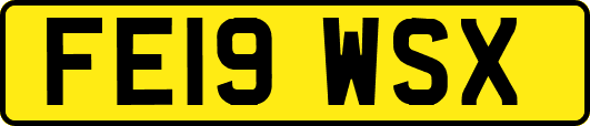 FE19WSX