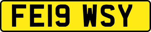 FE19WSY