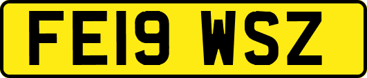 FE19WSZ