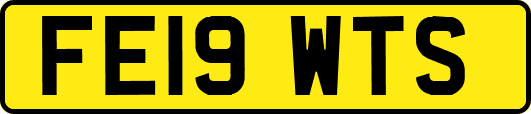 FE19WTS