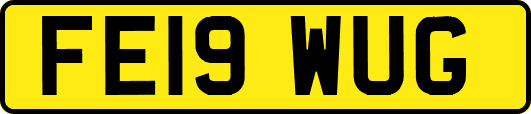 FE19WUG