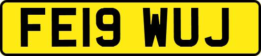 FE19WUJ