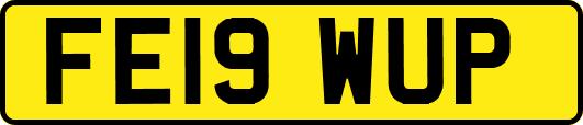 FE19WUP