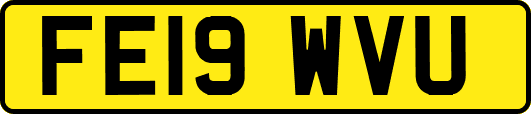 FE19WVU