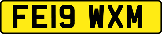 FE19WXM