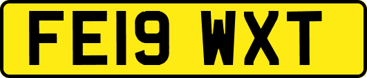 FE19WXT