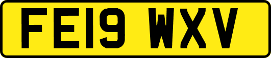 FE19WXV