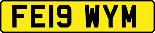 FE19WYM