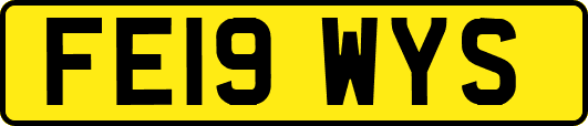 FE19WYS