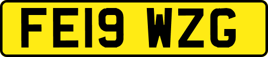 FE19WZG