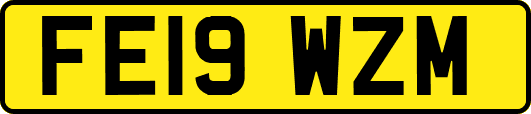 FE19WZM