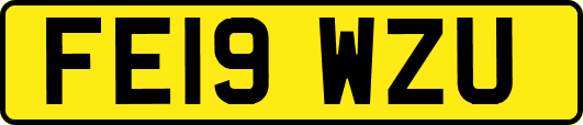 FE19WZU