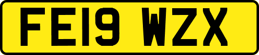 FE19WZX