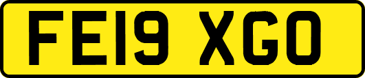 FE19XGO