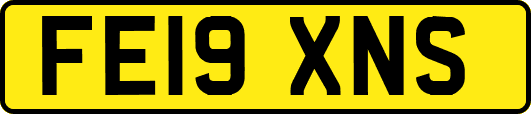 FE19XNS