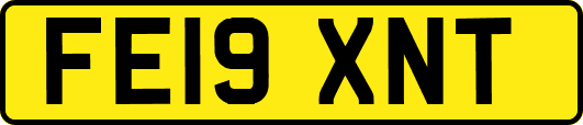 FE19XNT