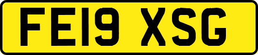 FE19XSG