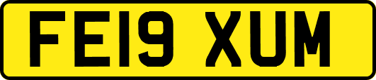FE19XUM