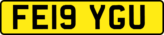 FE19YGU