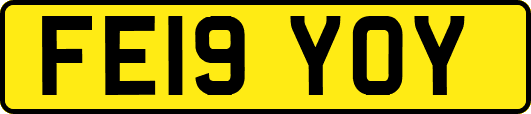 FE19YOY