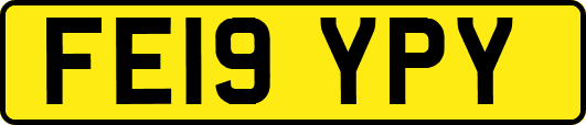 FE19YPY