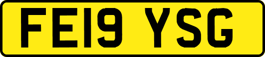 FE19YSG