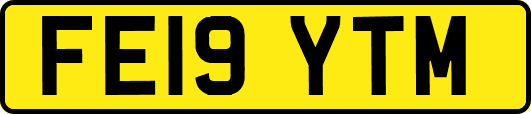FE19YTM