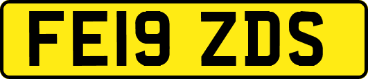 FE19ZDS
