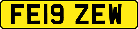 FE19ZEW