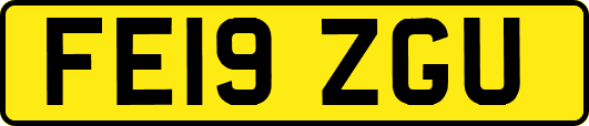 FE19ZGU