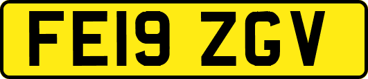 FE19ZGV