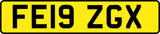FE19ZGX