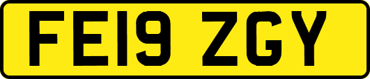 FE19ZGY
