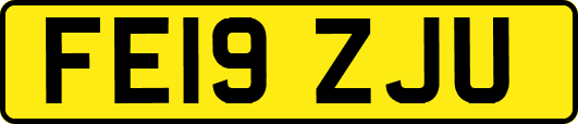 FE19ZJU