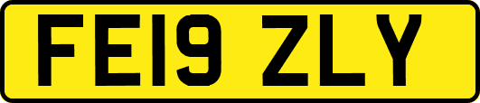 FE19ZLY