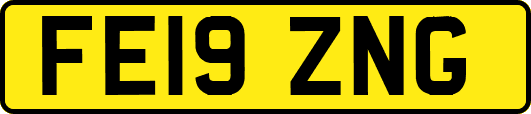 FE19ZNG