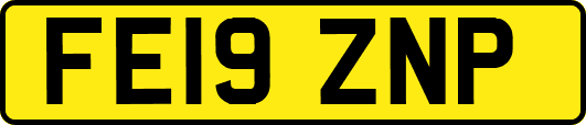 FE19ZNP