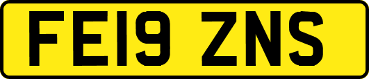 FE19ZNS