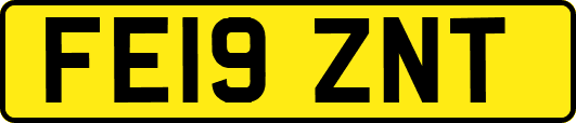 FE19ZNT