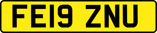 FE19ZNU
