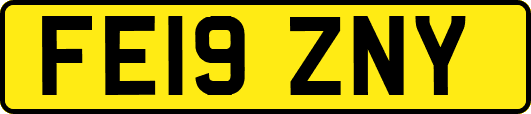 FE19ZNY