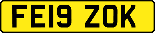 FE19ZOK
