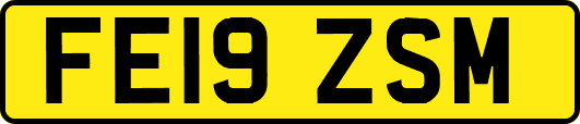 FE19ZSM