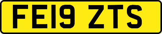 FE19ZTS