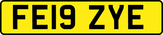 FE19ZYE