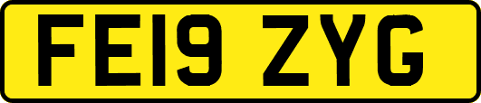 FE19ZYG