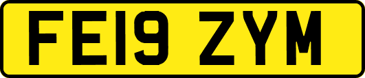 FE19ZYM