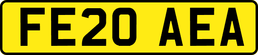 FE20AEA
